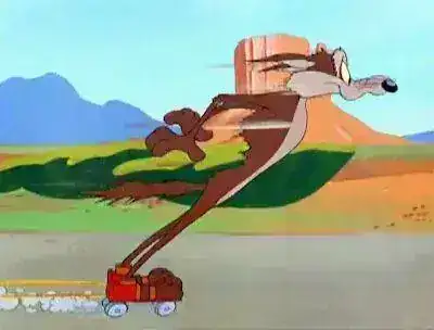 COYOTE3+-+BEEP+BEEP+(52)3.webp