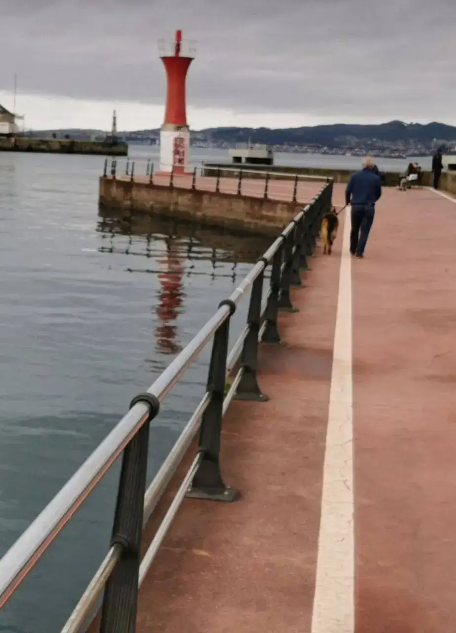 crop_1992772985222214304.webp