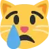 :crying_cat_face:
