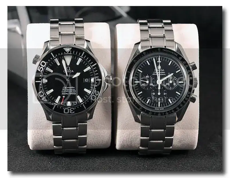 CSC_9663SMPSpeedy.webp