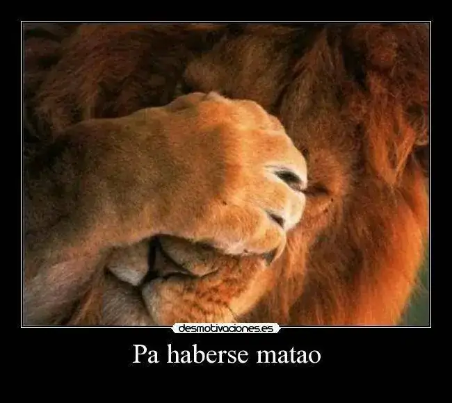 ctdy.webp