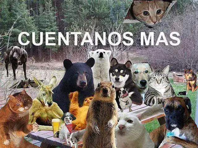 cuentanos-mas-jpg.webp