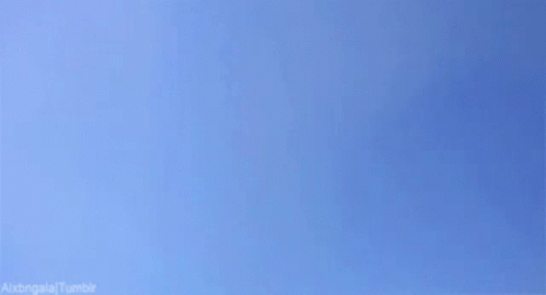 cute-cat.gif