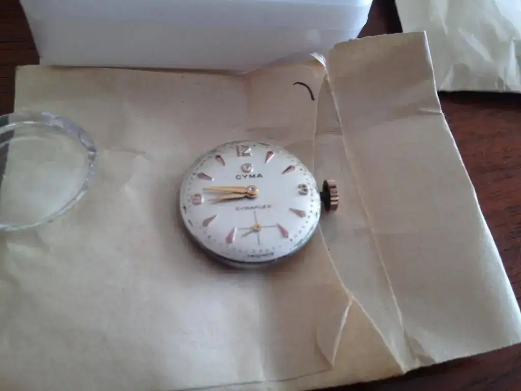 cyma 002.webp