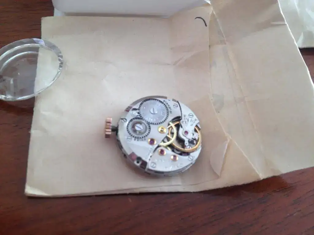 cyma 003.webp