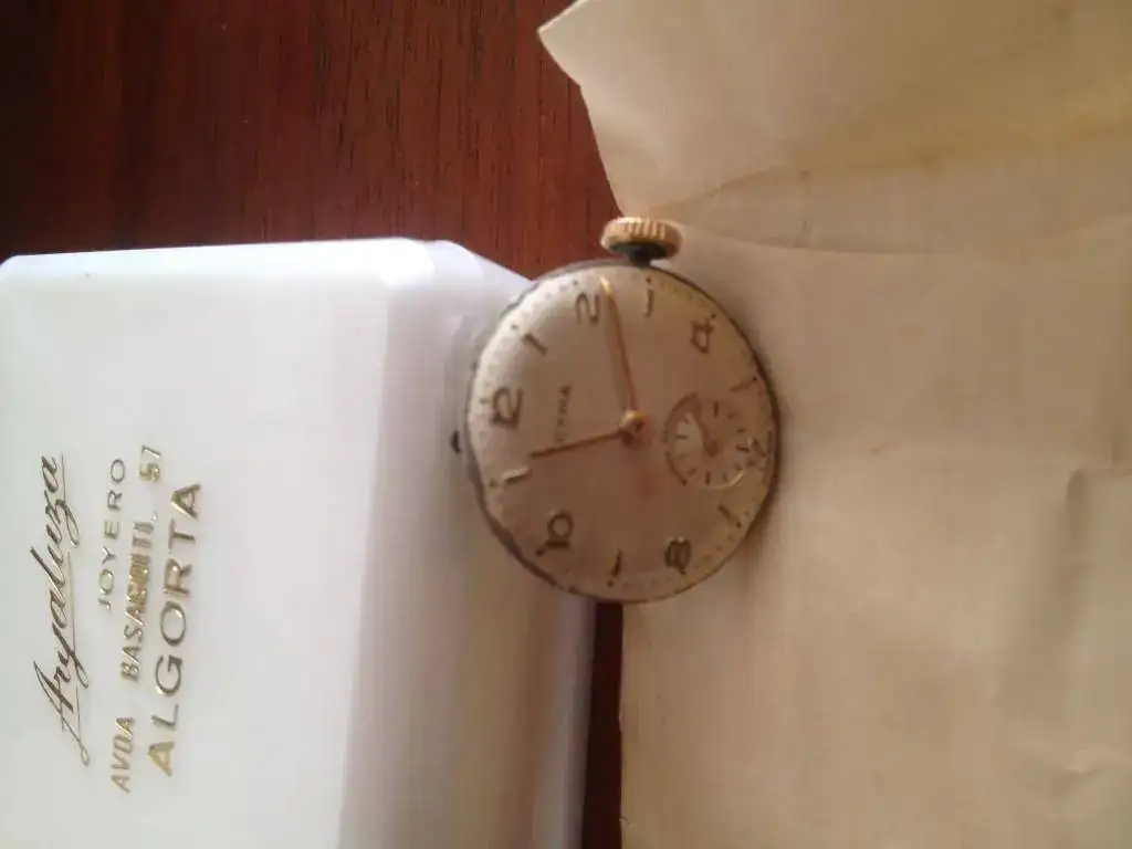 cyma 004.webp