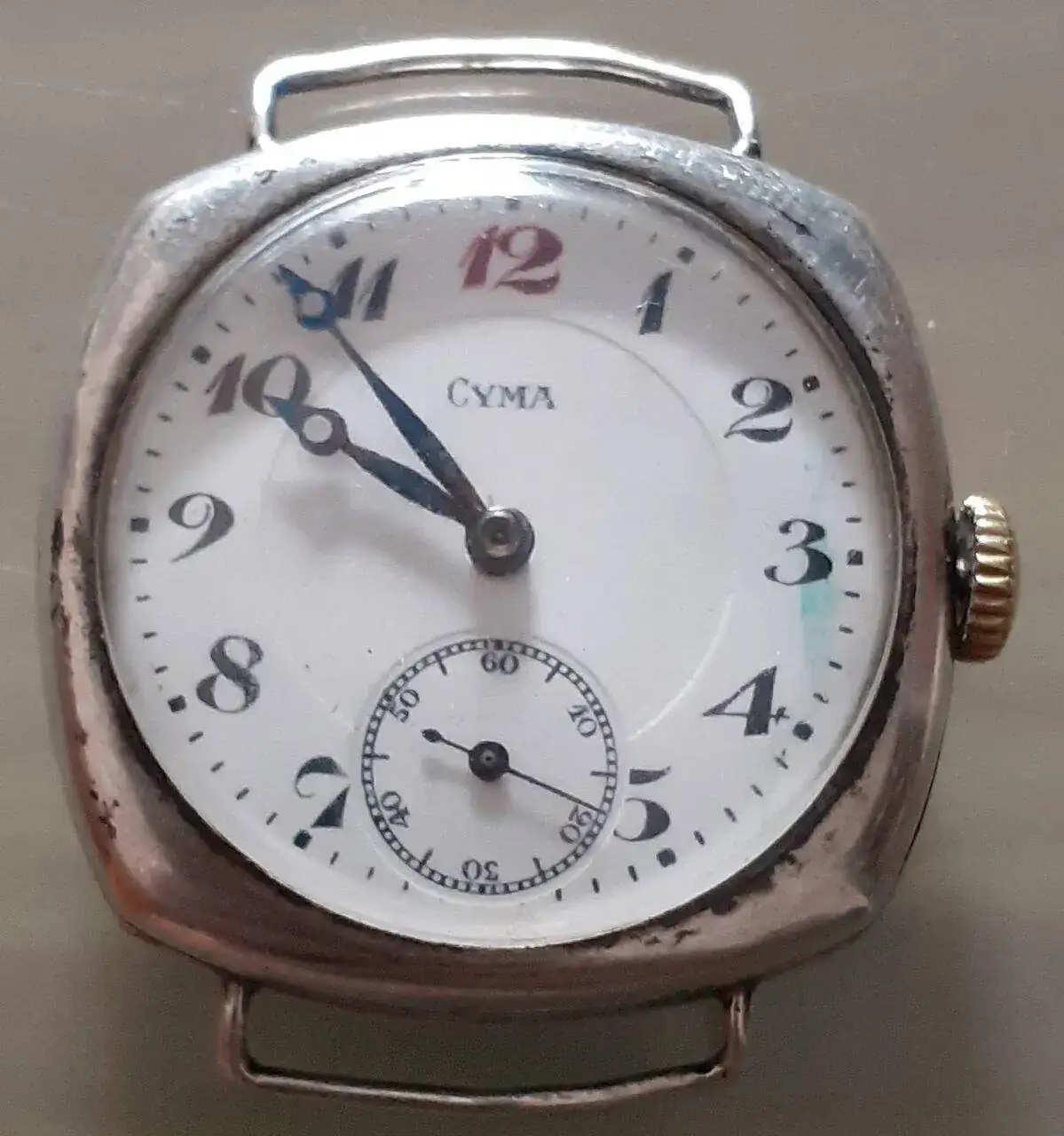 cyma 1.webp