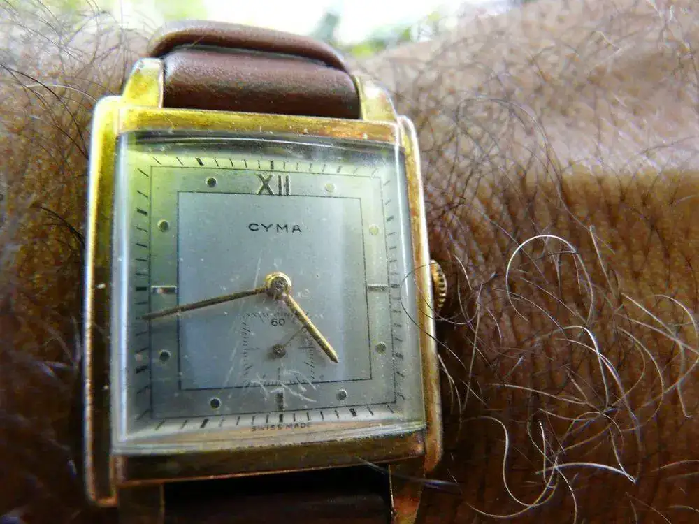 cyma 1954.webp