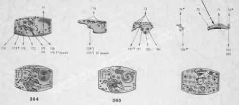 Cyma-364-365.gif