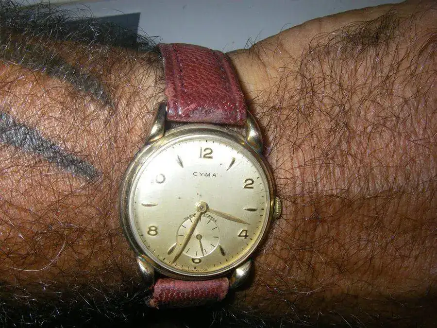 cyma 4 jpg.webp