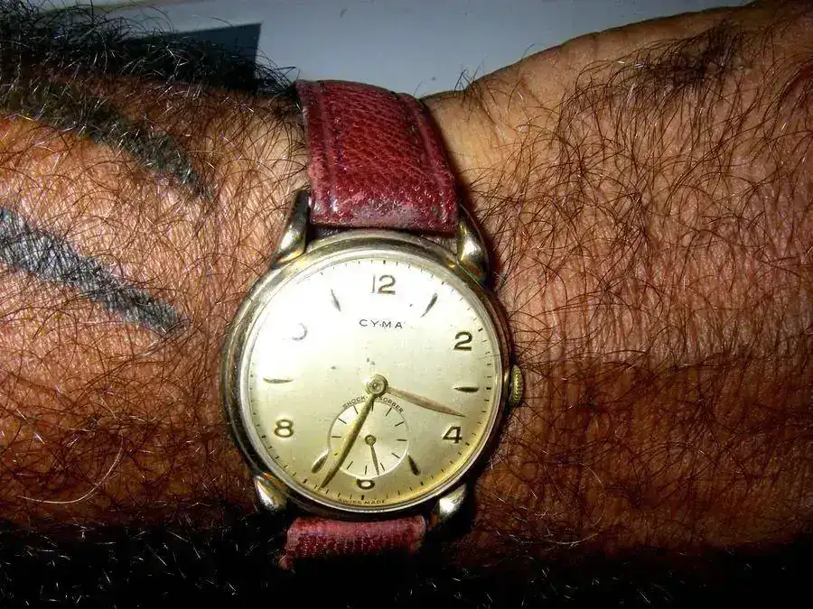 cyma 4 jpg.webp