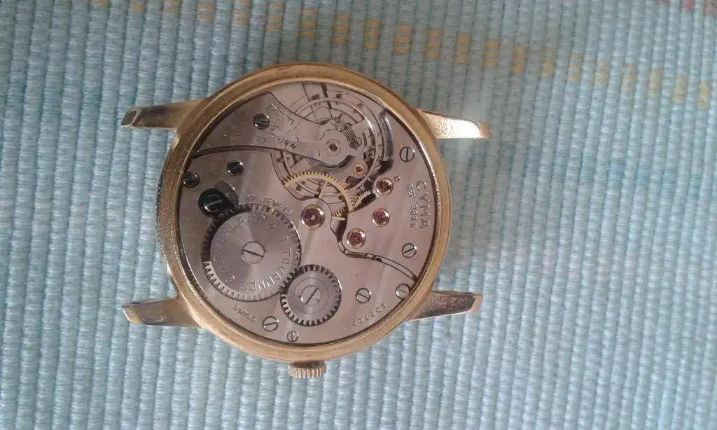 CYMA 586K (2).webp