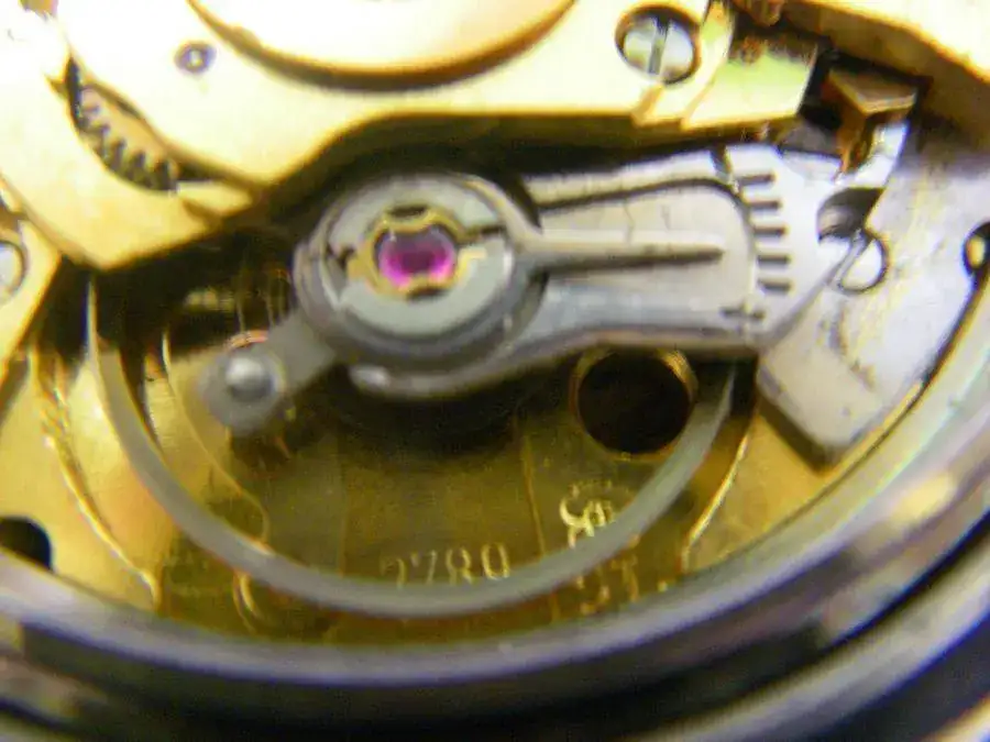 cyma conquistador i jpg.webp