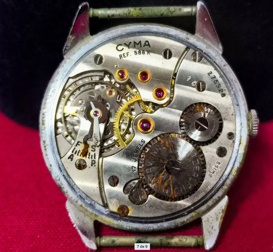 CYMA OX1.webp