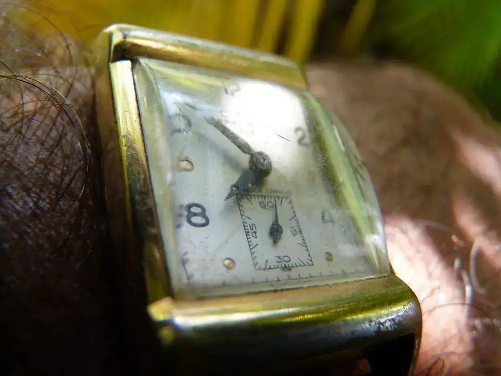 cyma presicion 335.jpg b.webp