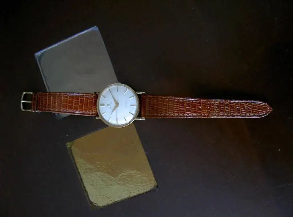 Cyma01.webp