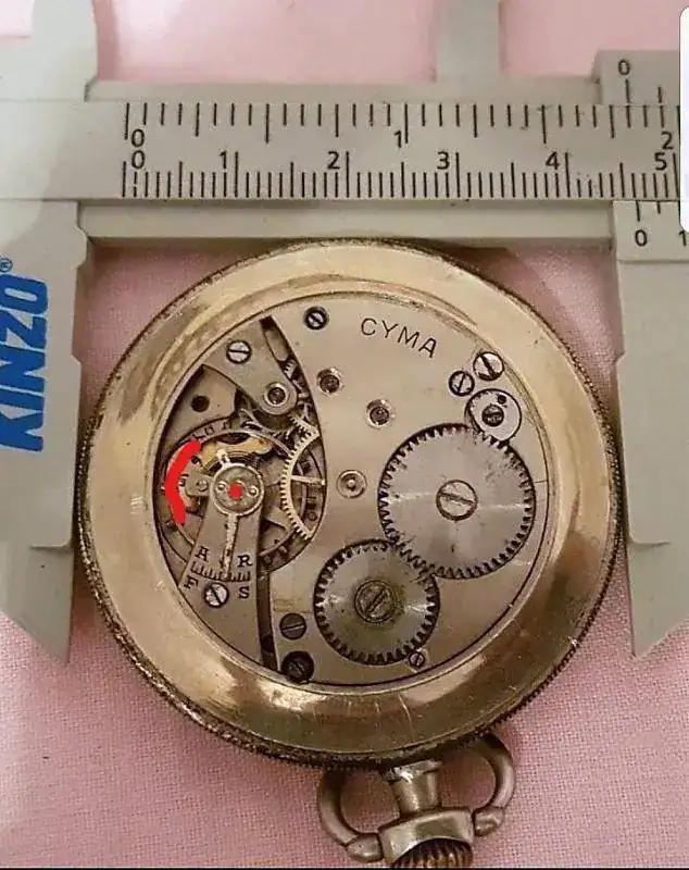 cyma571_LI.webp