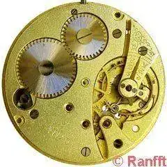 Cyma_2.webp
