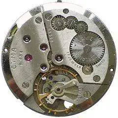 Cyma_484_0.webp