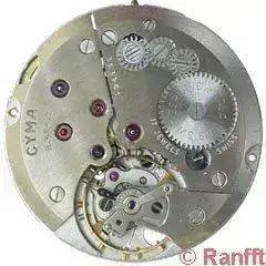 Cyma_484_2.webp