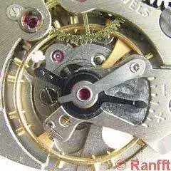 Cyma_486_0-2.webp