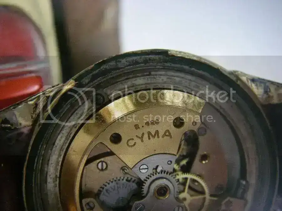 cymabumperh.webp
