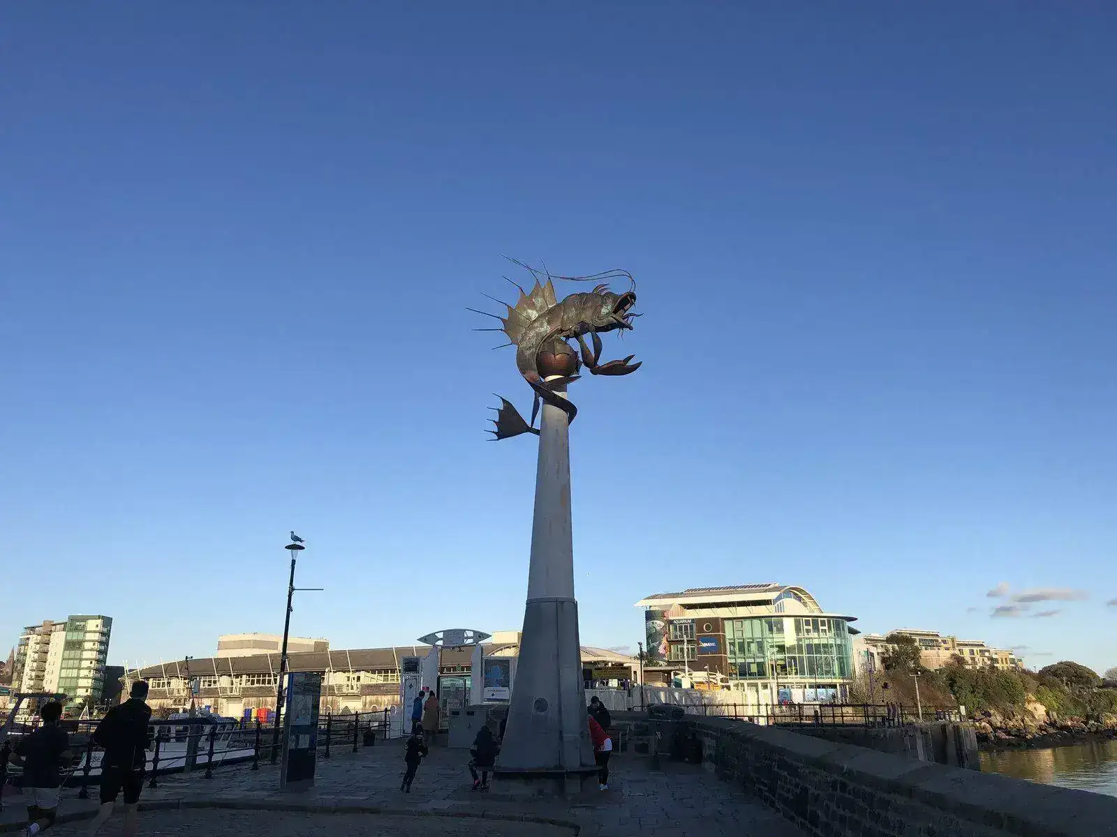 D0984428-3FD5-40DF-A916-4627840FCBB9.jpeg