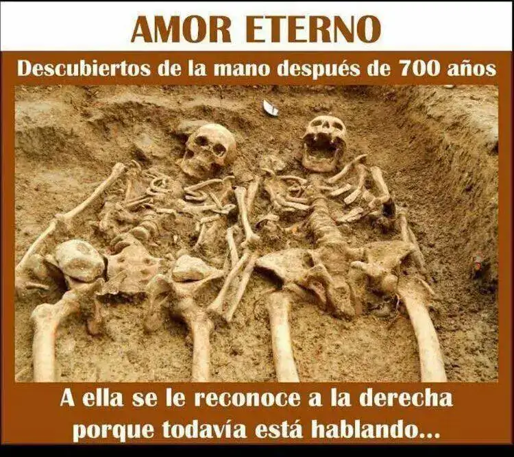 d0c5e962aaa0eb0894c28bcd2c469e50.webp