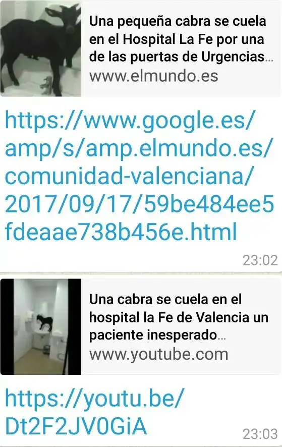 d0e206b51468c1e73cfe6c9308014d34.webp