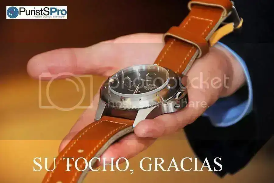 D20_9353.webp