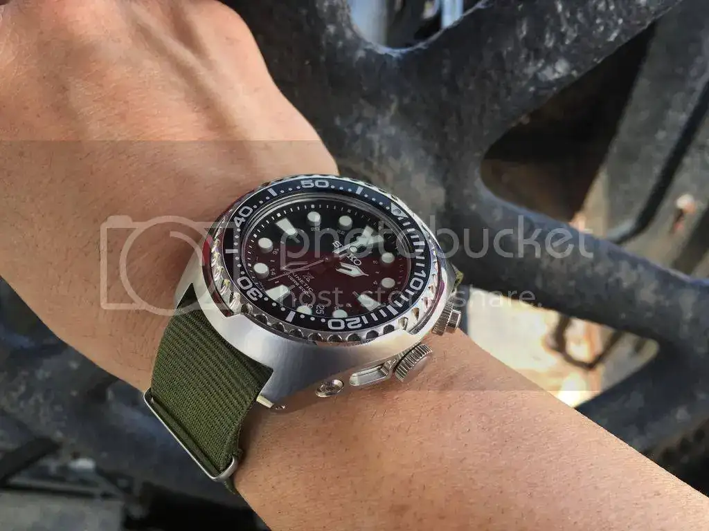 D2753307-74B0-43CB-A83C-26BB33ADB1F8_zpsxn4e5hxs.webp