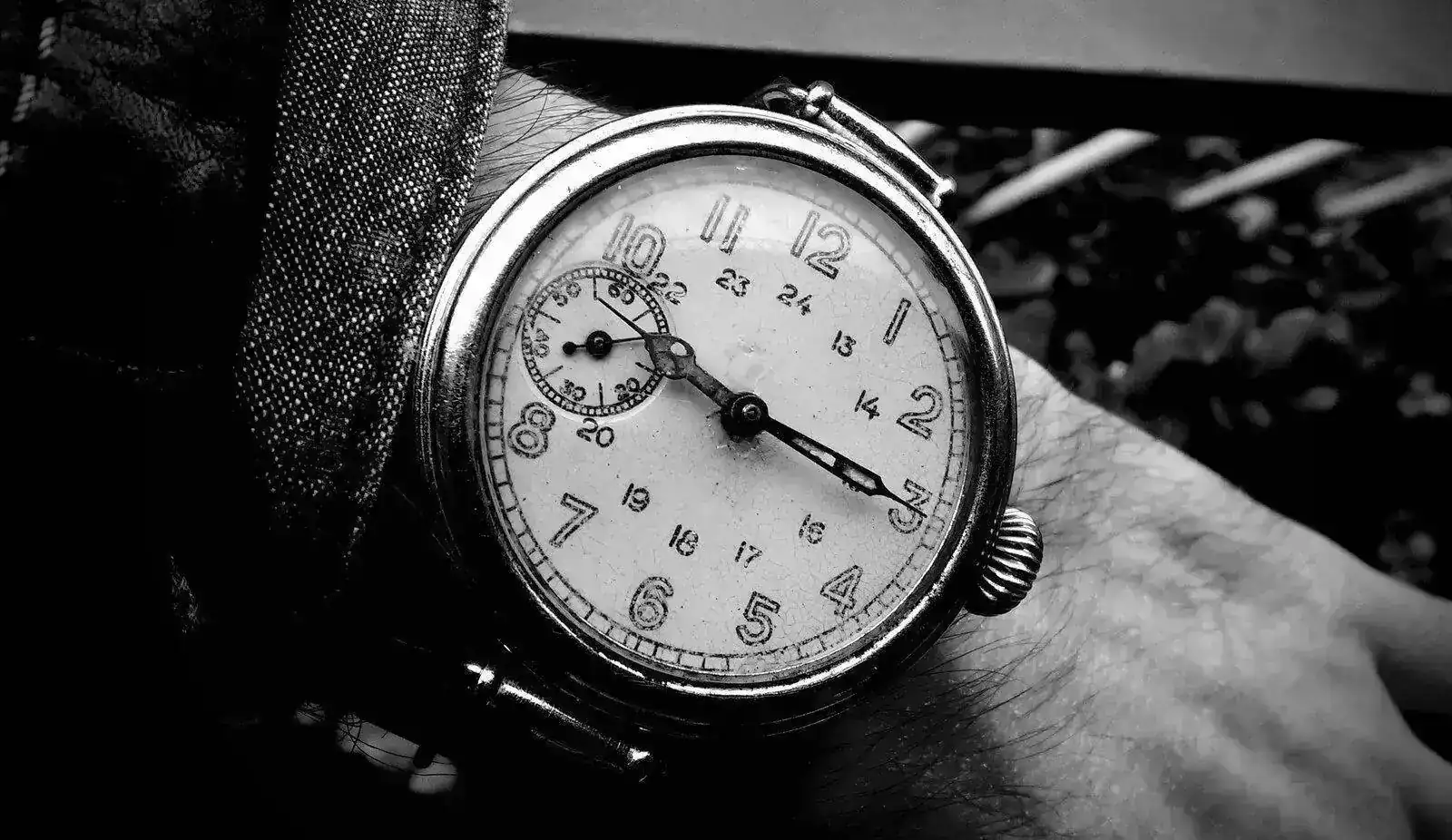 D31457BC-DA18-416E-897D-C845248F0162.webp