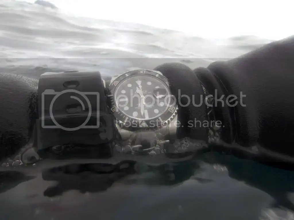 D500E720-2CDB-44C3-B8E9-75AEFD47FECC_zpsu24v6txh.webp
