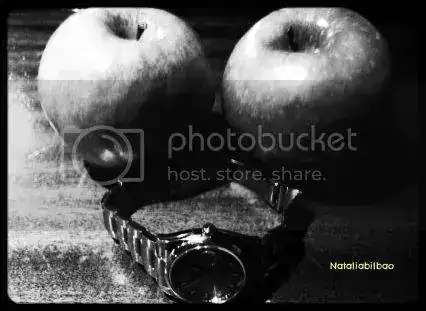 d562b40b-1fc3-400b-9ed2-2e7ae5dbb8e3_zps751758a2.webp