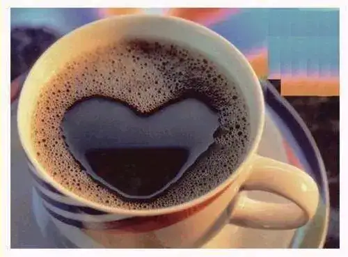 d5d1f_cafe.webp