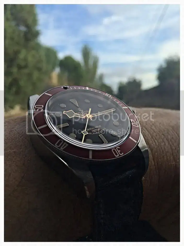 D650FAB8-B9CA-46D7-9717-AA57314B239C_zpsazorozus.webp