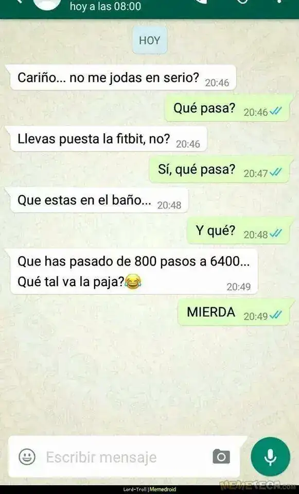 d66848671c4e02309c8c57514dc628b3.webp