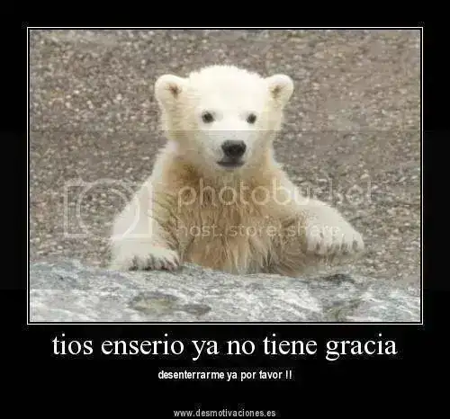 d66aa8polarp_zps6d2c21cd.webp