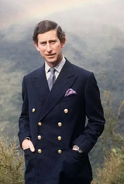 d6e6db71e1d0ef47f043e--blue-blazers-prince-charles.webp