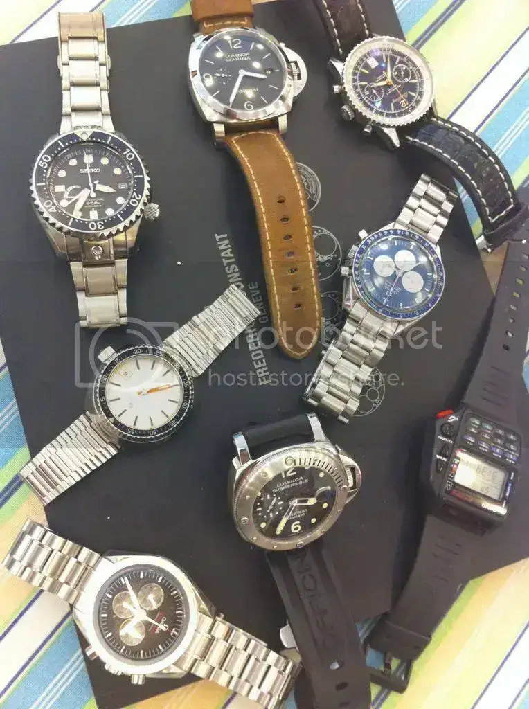 d6f6dfb5.webp