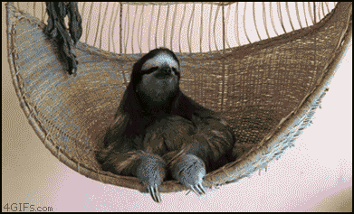 d7216ed59049e93ebffb3e9f5e9a35ce.gif