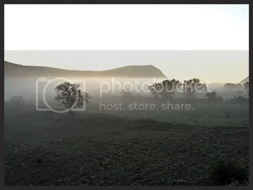 D739974A-5187-4B59-AF53-7347D383EA7C_zpsesqac7w0.webp
