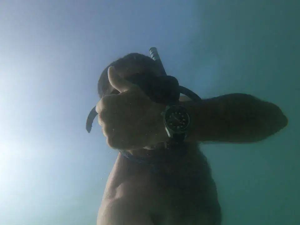 d762117ec7a9d193652bbe421454bb4f.webp