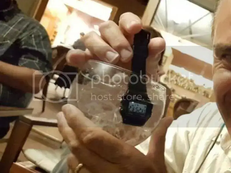 d8fb367d-c692-4ab4-ad7d-fb020cb2a2f6.webp