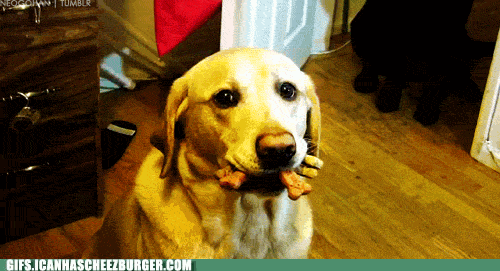 D94-EF036-0-E88-44-F2-9880-90992-F6-FBC90.gif