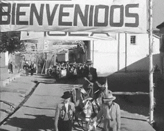 D95-C8-A04-C400-4-B12-87-E6-4-A95-D9-DA0194.gif