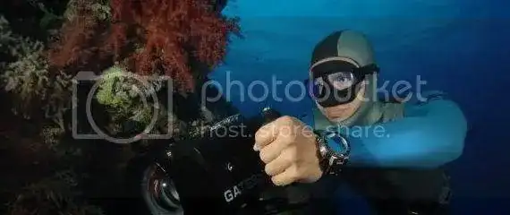 dan6101qx0.webp