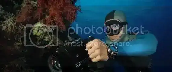 dan6101qx0.webp