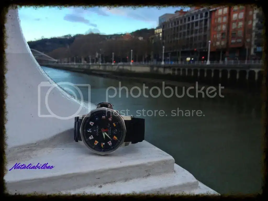 dd01146e-115c-4668-b9a9-cdc1f5e4c213_zpsa39d36a2.webp