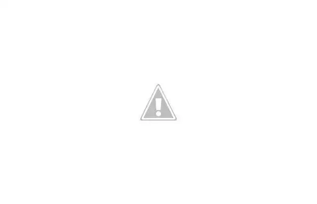 de-famosos-CEOS-Steve-Ballmer-Microsoft%255B1%255D.webp